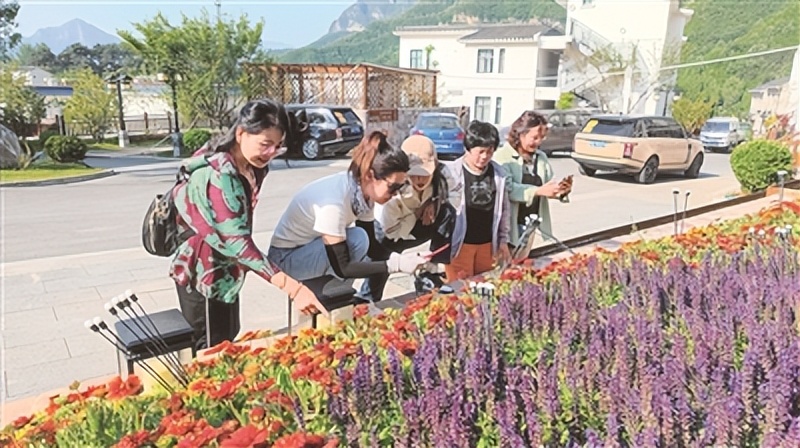 锡崖沟康养度假,锡崖沟康养基地