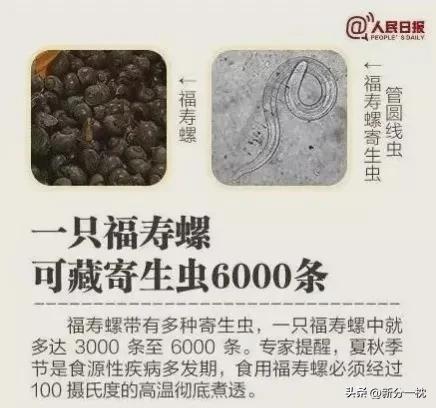 福寿螺的寄生虫有多可怕,寄生虫福寿螺