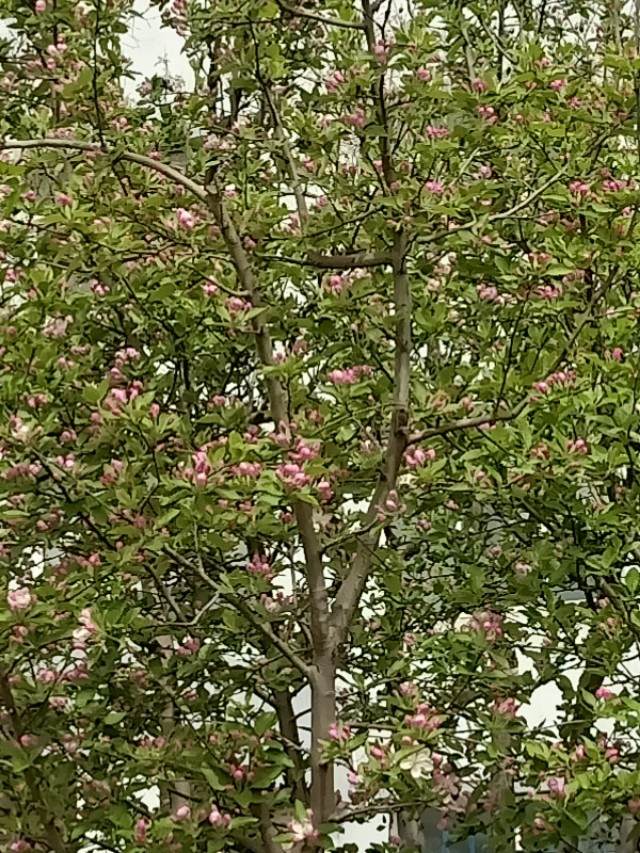 爱情最卑微的情感,爱情是人世间最迷人的感情