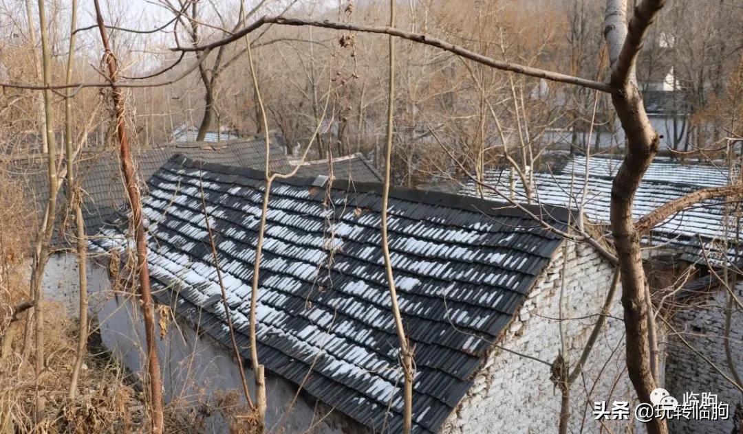 千万年的记忆,辛苦的记忆