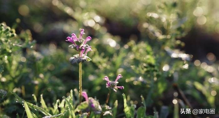 一季度户式中央空调市场份额,2021年家用中央空调市场体量