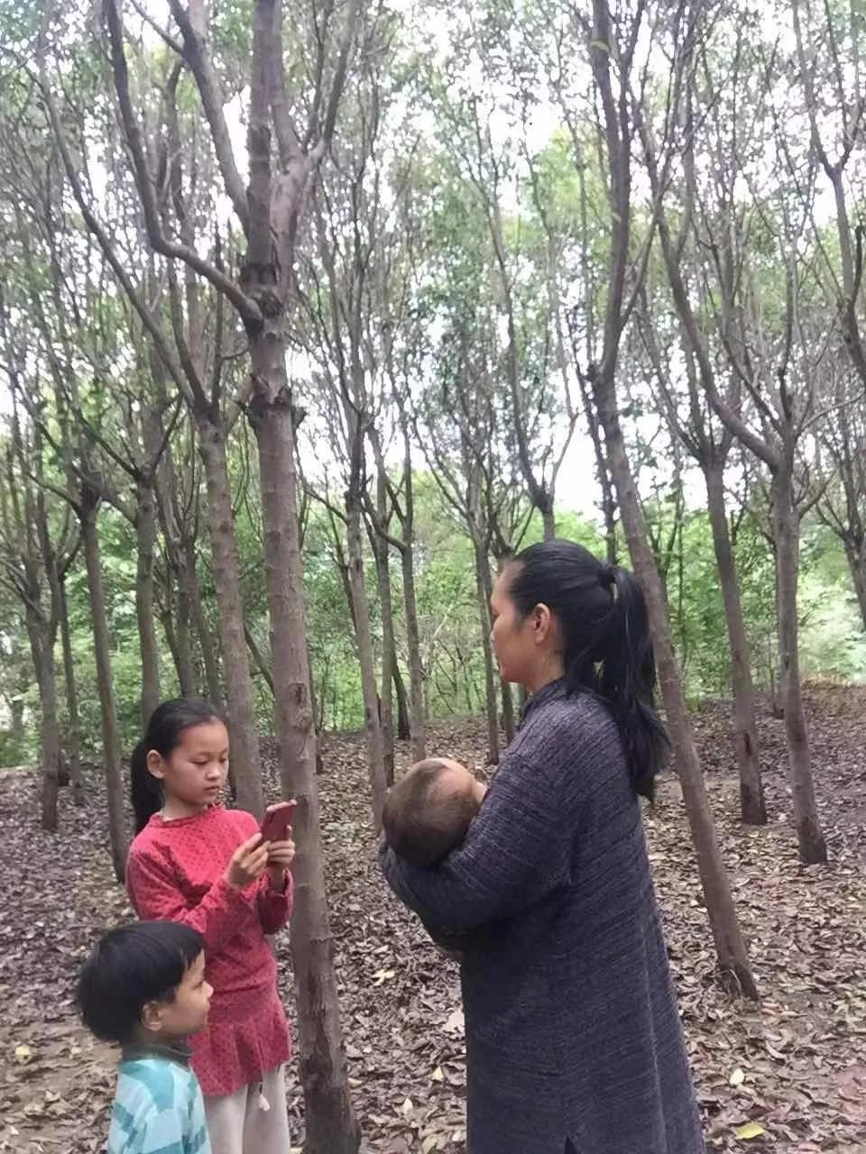 第十二届“墨子绿色与和平奖”发布仪式在气候小学举行