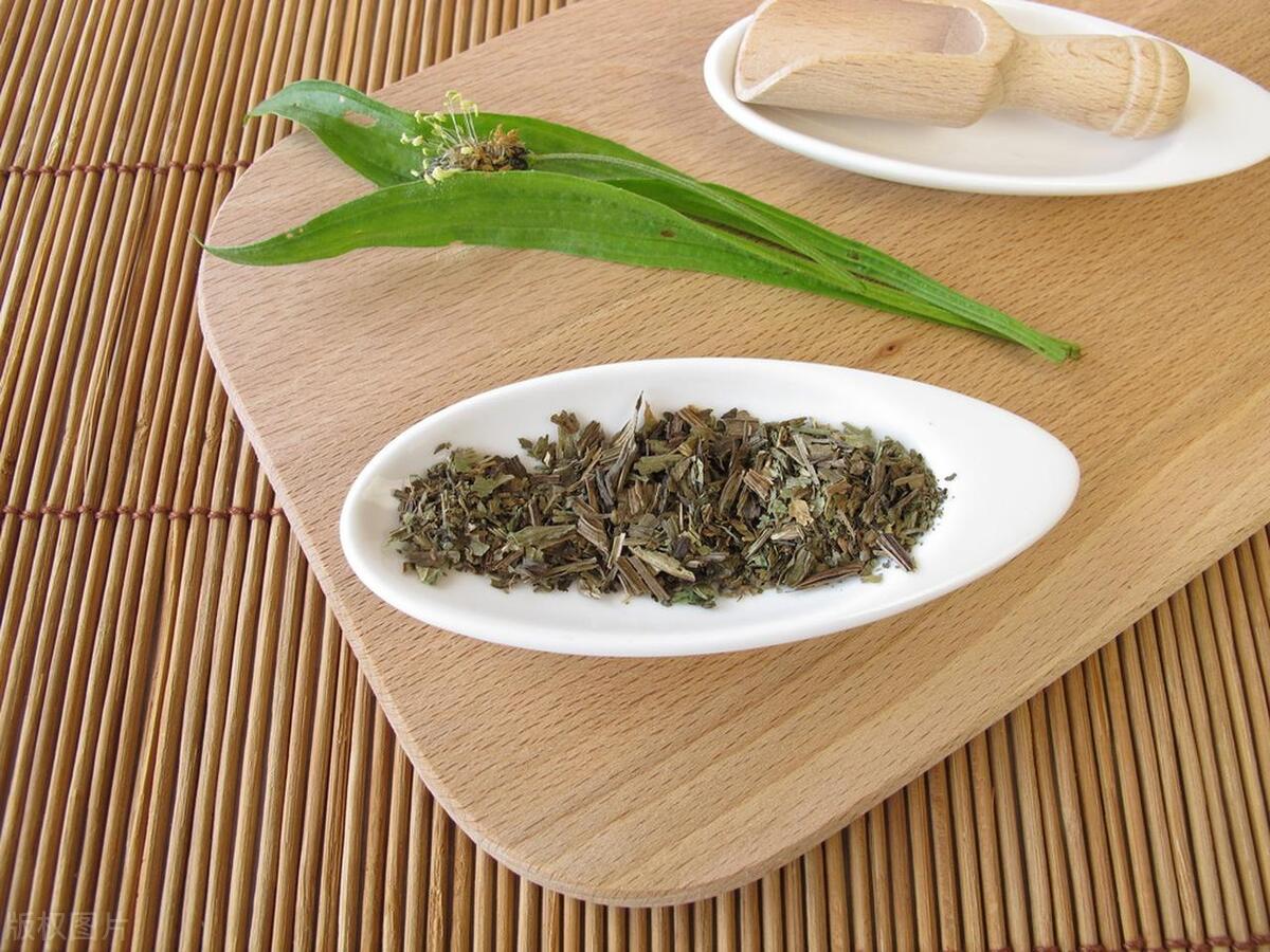 黄芪车前草治痛风降尿酸,痛风尿酸高喝车前草降尿酸吗