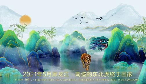 一“虎”百应！多个酒企推“虎”酒，老酒鬼：舍得的收藏价值高