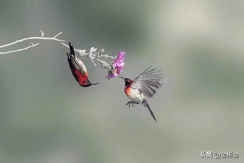 女朋友让交工资卡怎么回复,女朋友要求你上交工资是什么心理