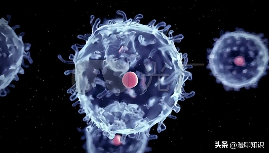 马传染病的传播,马传染性子宫炎