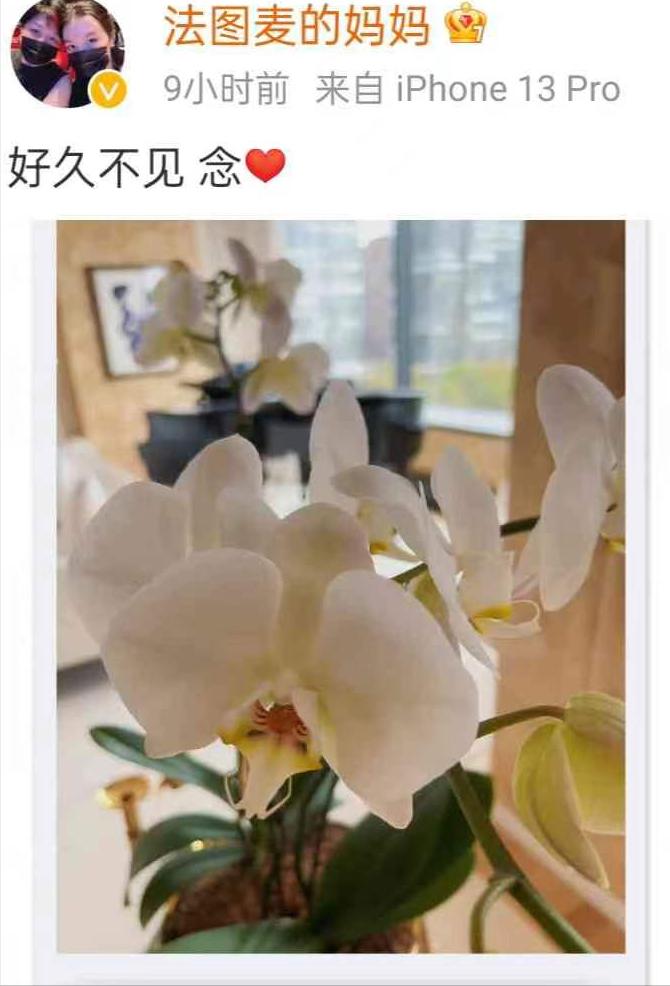 六位得癌先后去世的央视主持,中央电视台得了癌症的主持人