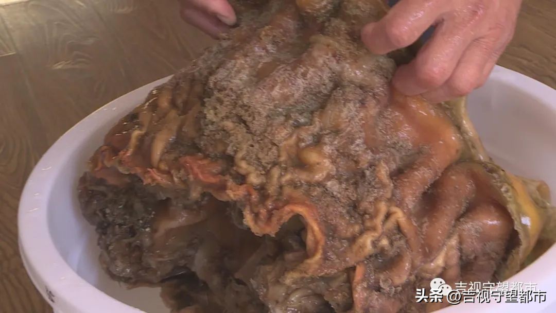 男子捡到太岁天天喝水,记者在河边采访村民捡到太岁