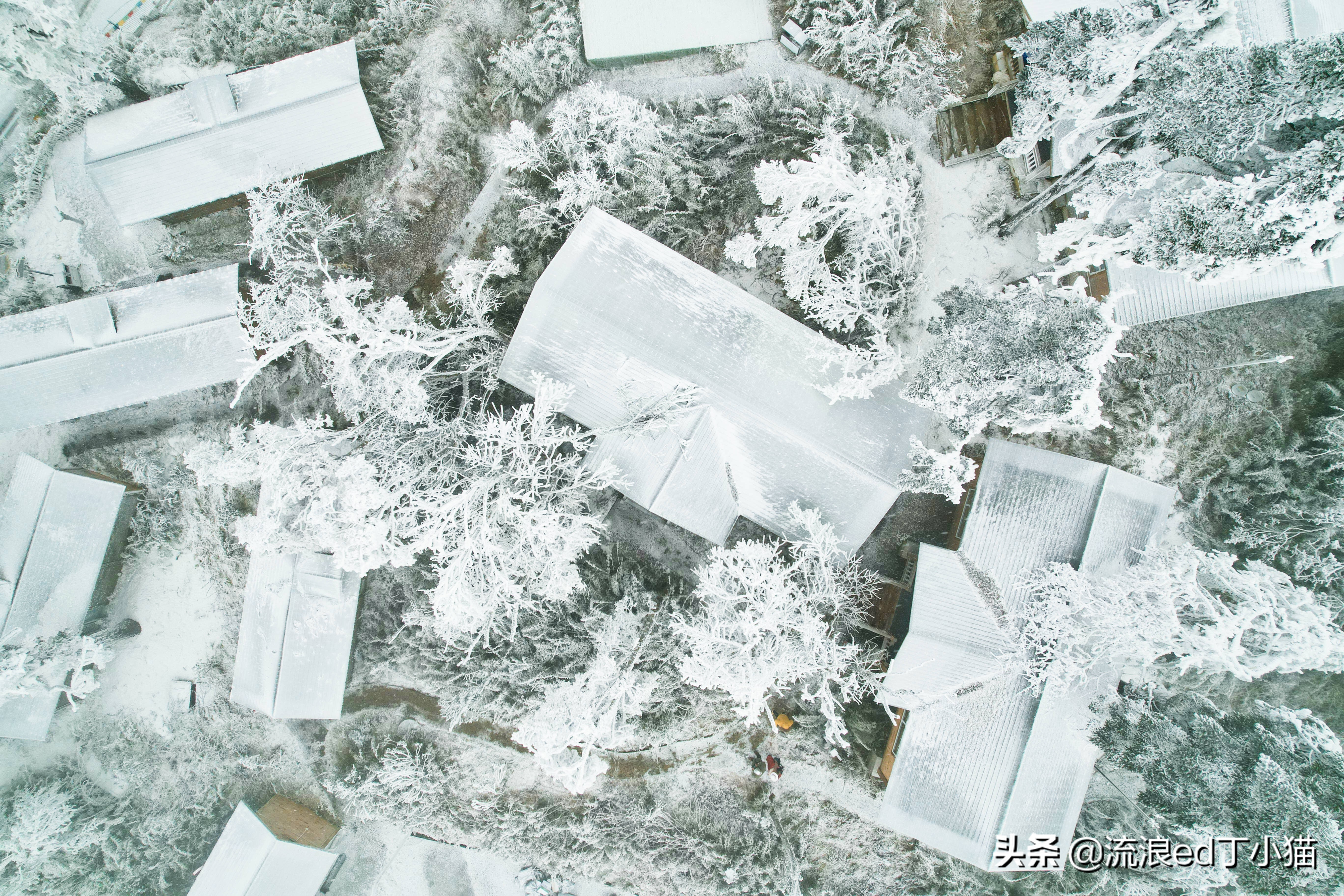 四川能玩滑雪的雪山,王岗坪贡嘎滑雪场