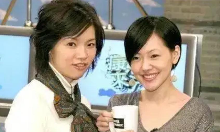 关于主持人璩美凤事件,台湾璩美凤和鲁豫