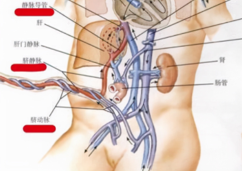 不小心把肚脐眼抠破了怎么办,把肚脐眼扣疼了会有什么后果