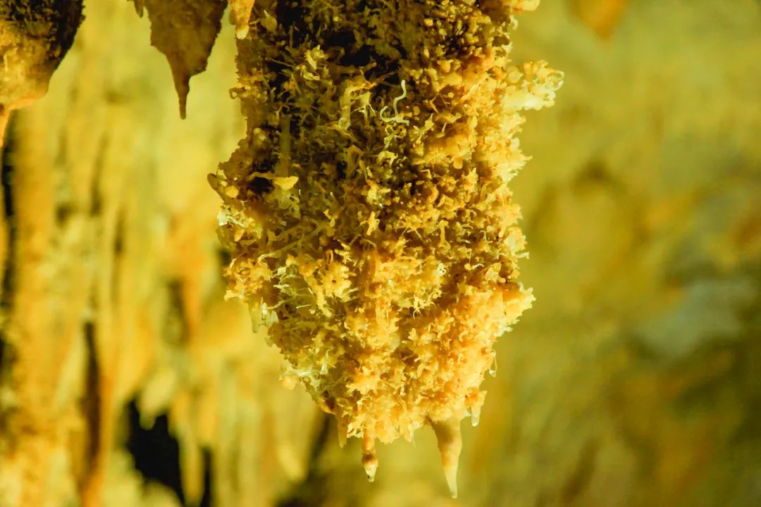 世界长寿之乡河池,广西巴马长寿之乡