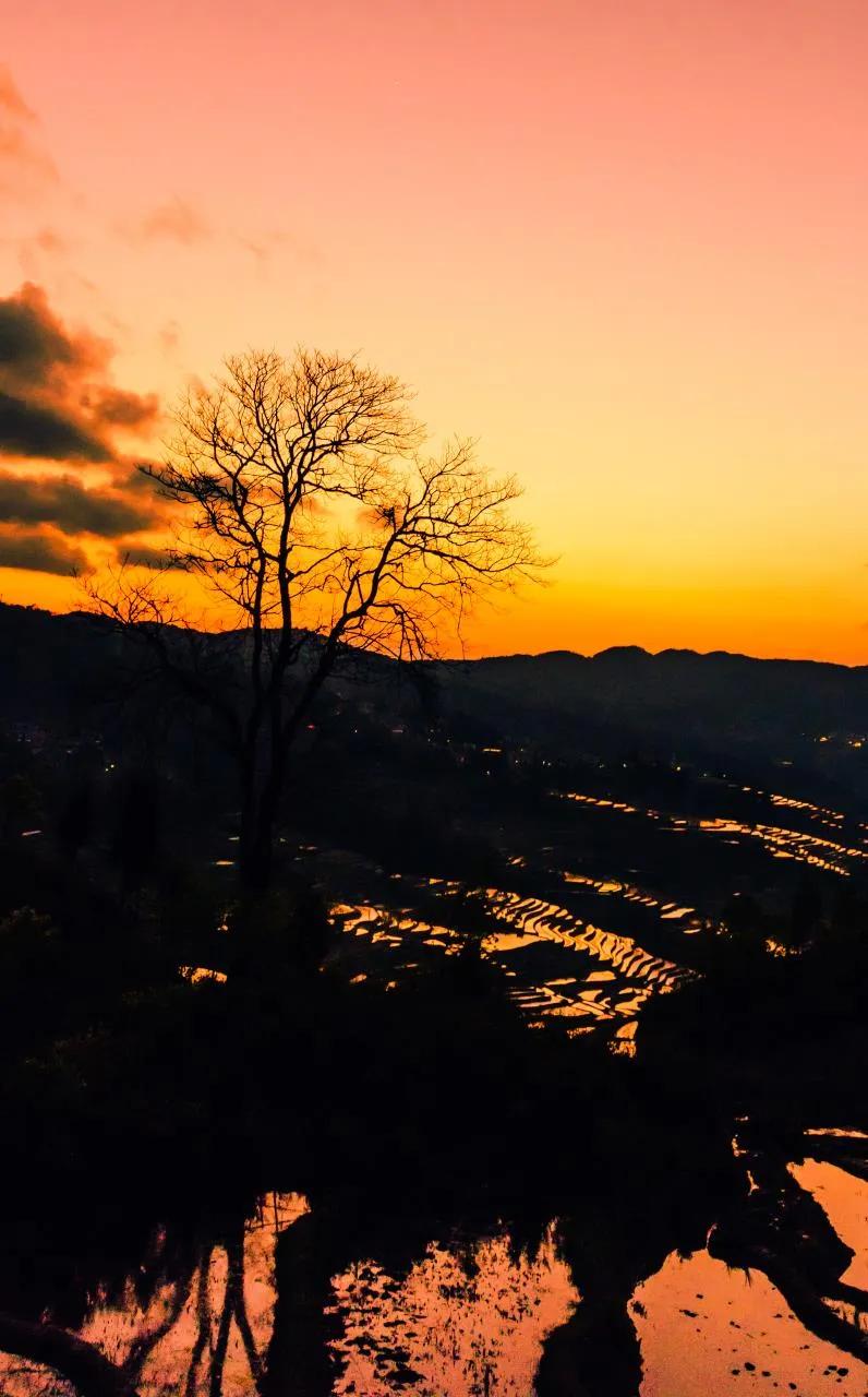 西双版纳10日行——走遍春夏秋冬，总会有人四季等你。