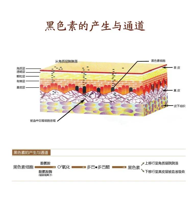 对称型白癜风由什么引起,白癜风白斑和普通白斑有什么区别