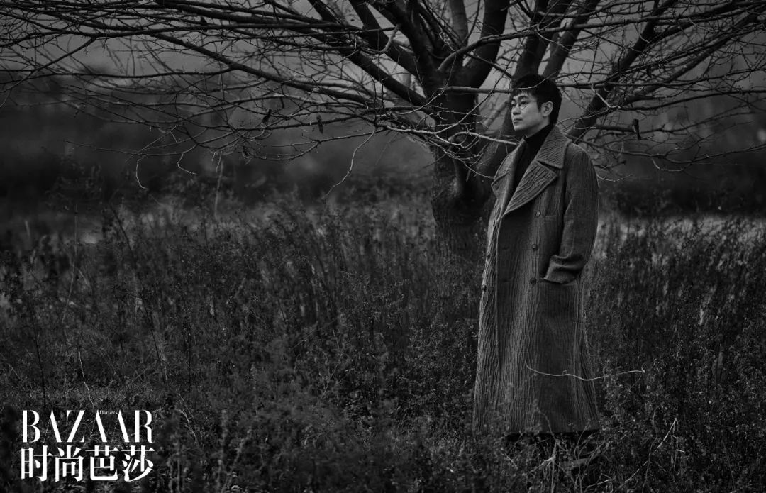 大鹏的所有剧,大鹏的精彩电影