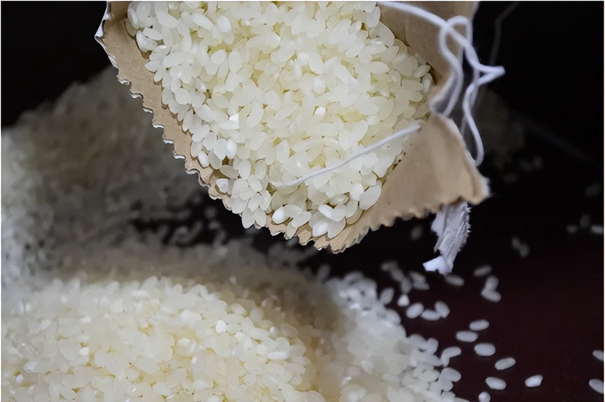 日本造电饭煲最新款,日本造电饭煲多少钱