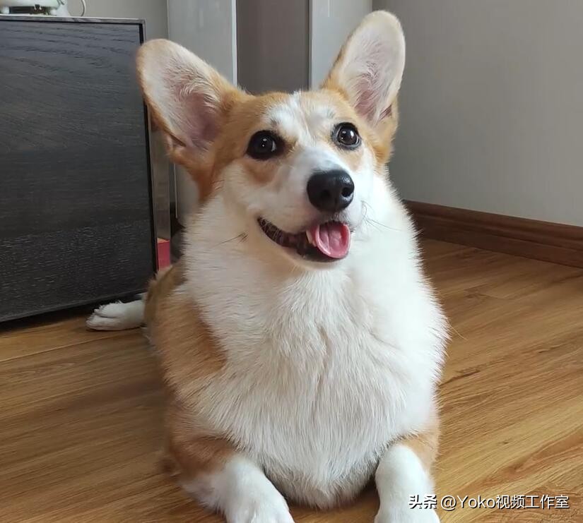 学生机房电脑配置推荐,学生网课电脑配置推荐