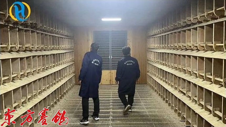 21年惠能秋棚决赛获奖鸽照片,慧能信鸽秋棚直播