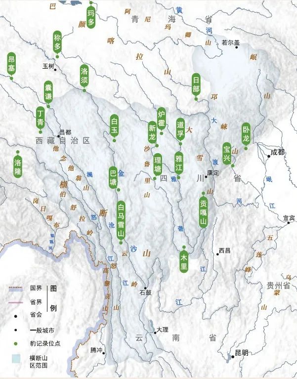 中国这13种猫猫,一种都不能少