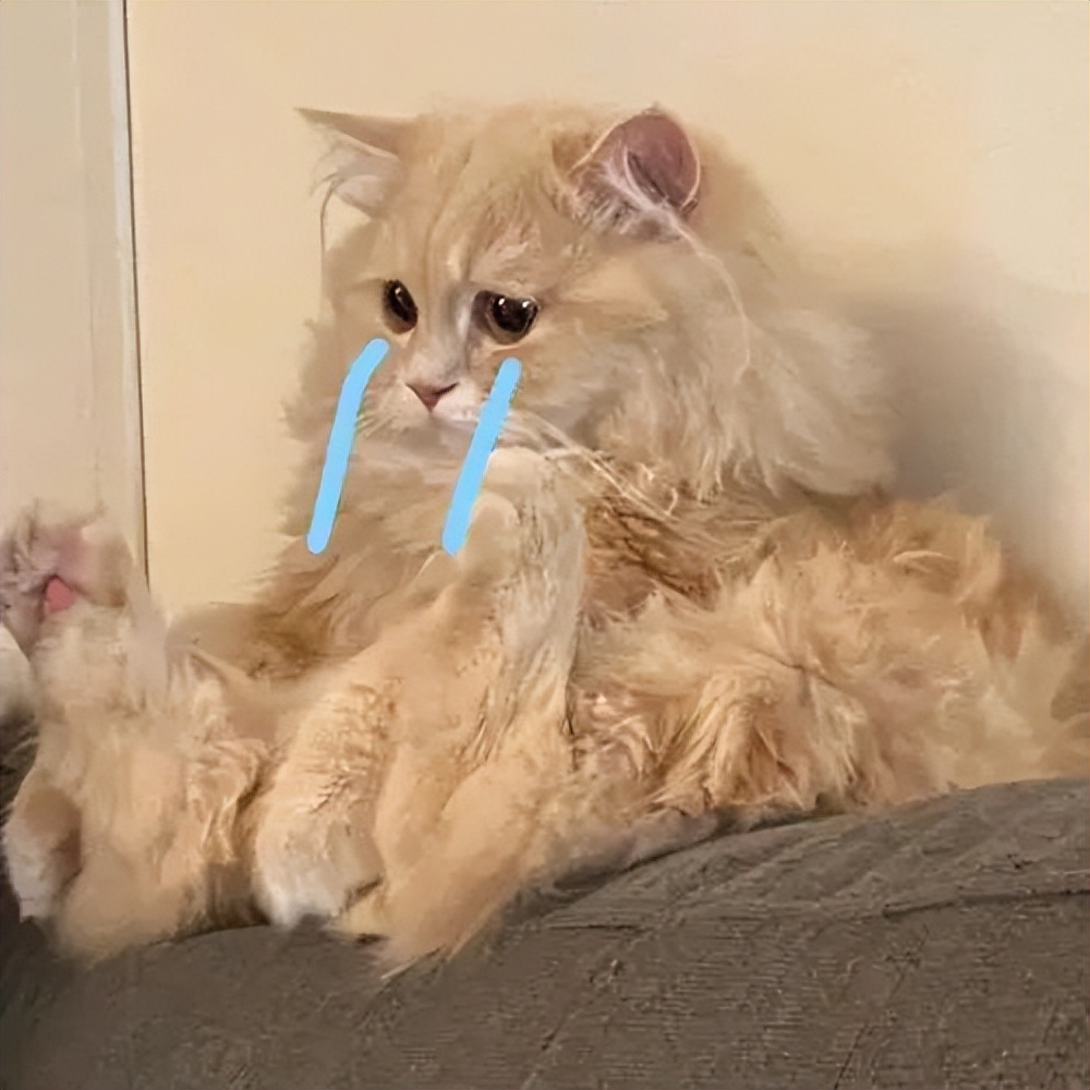 燃气热水器推荐2023性价比最高,2023太阳能热水器品牌排行