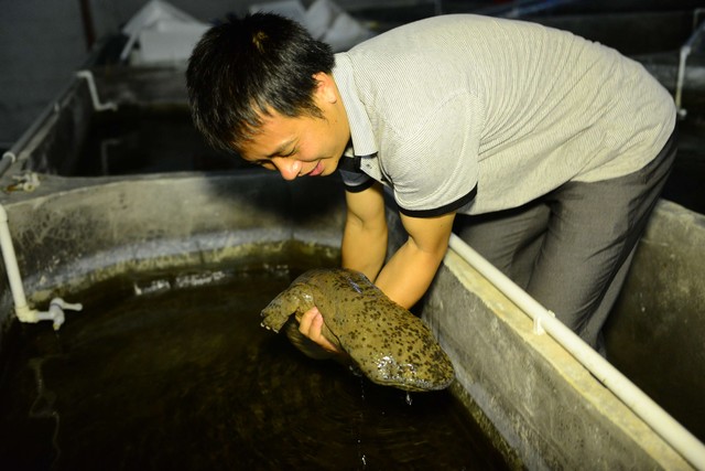 现在农村搞养殖养什么好,2022年回农村养殖什么好