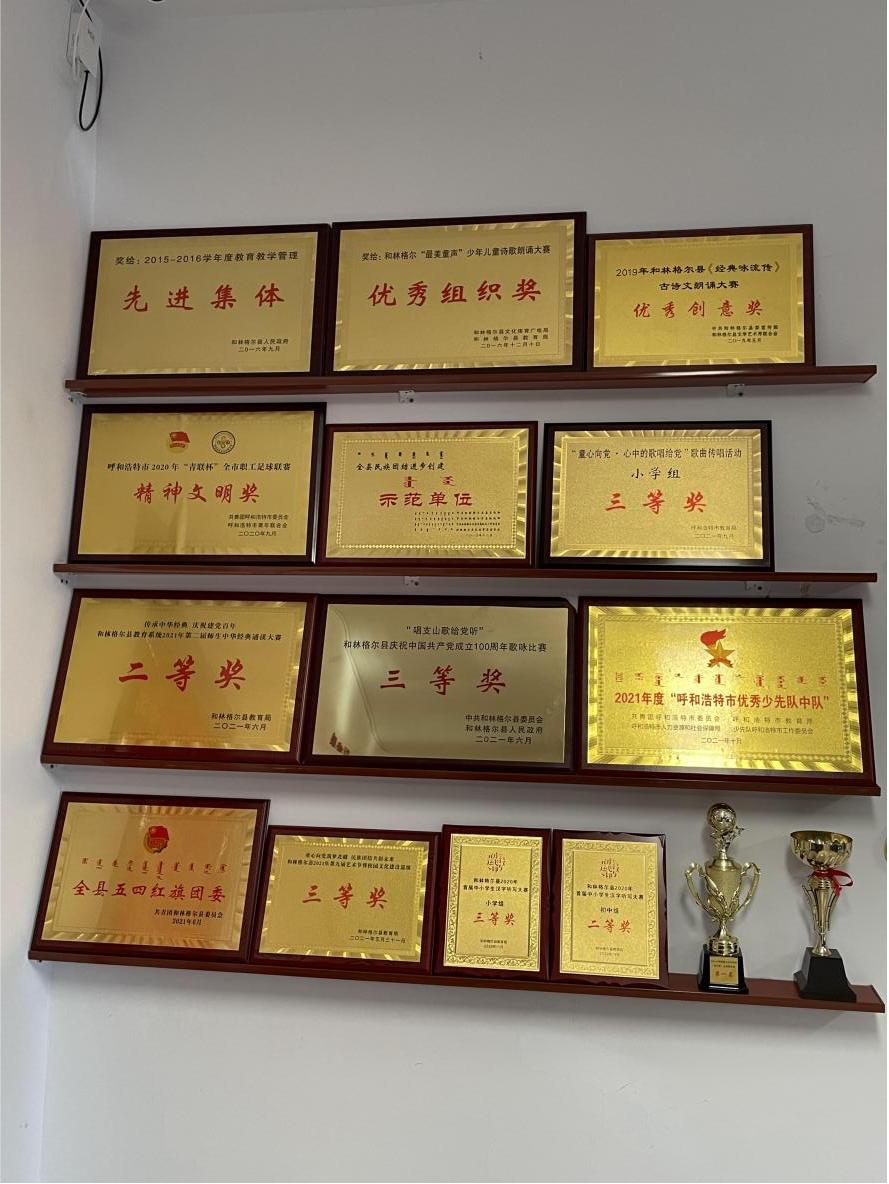 和林格尔县盛乐足球学校,和林格尔县盛乐足球学校小学