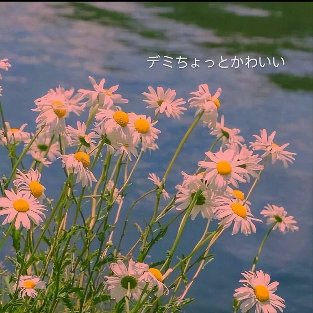 会互相吸引的星座金牛水瓶,分手越久越想前任的星座水瓶座