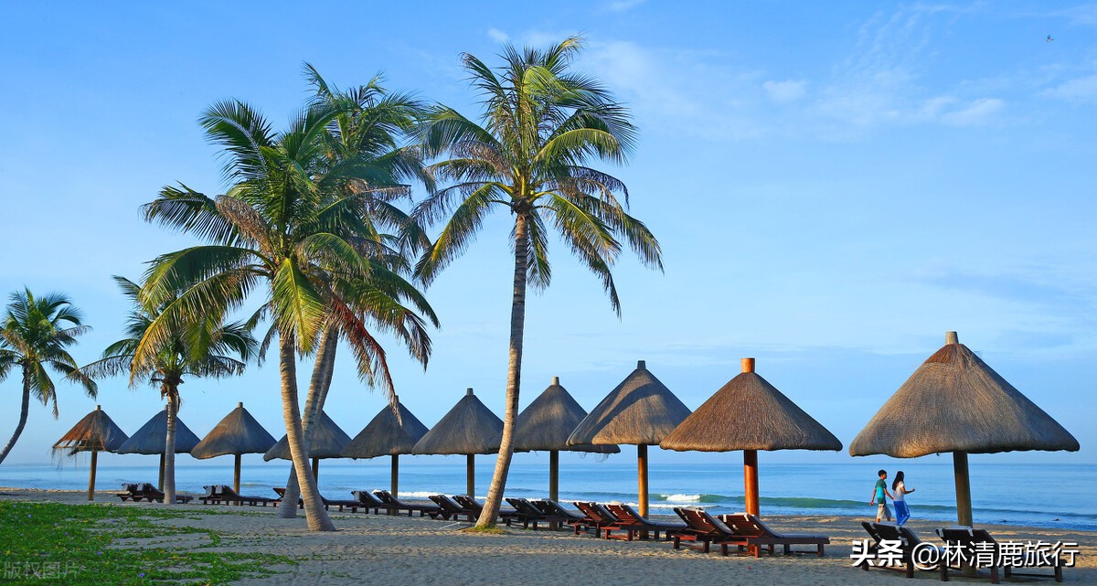 东北人为什么扎堆海南,海南三亚东北人为什么那么多