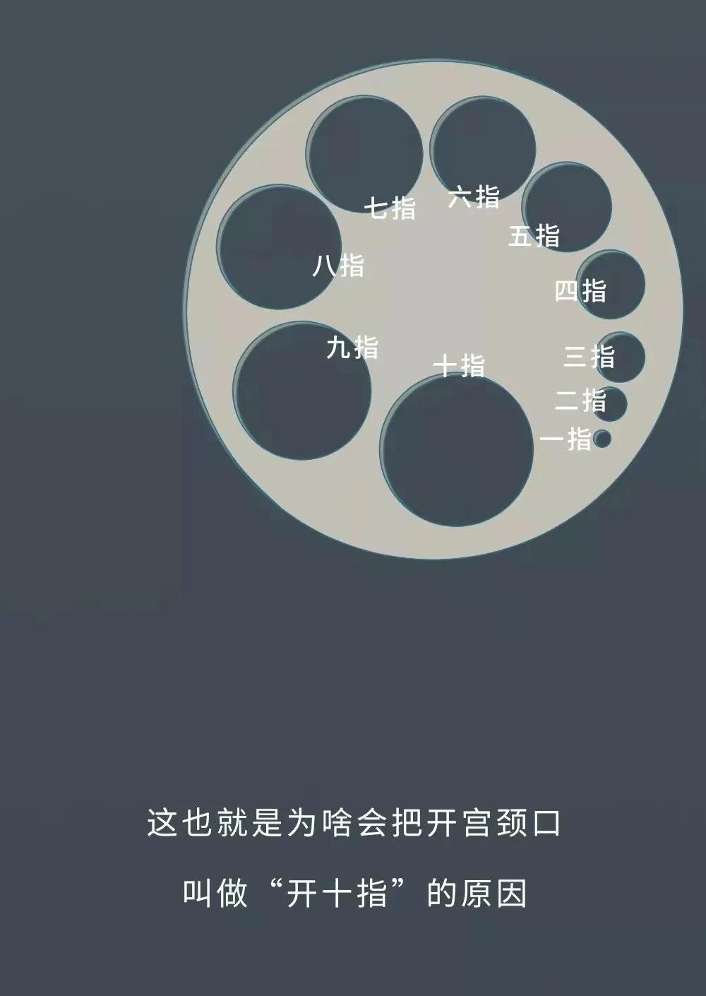 女人生宝宝的科普故事,科普关于女人生孩子