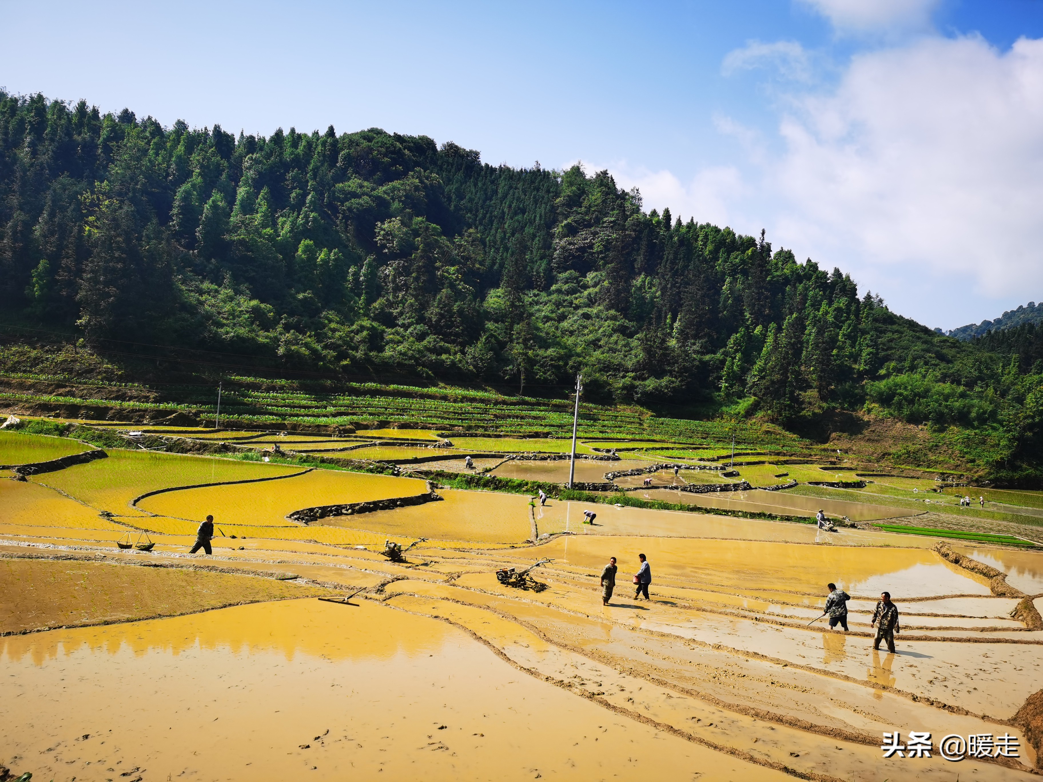 广西农民种田,乡村种田的生活视频