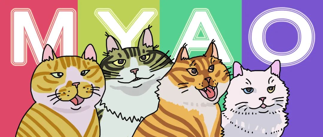 猫每天梳毛用什么梳子,哪种梳子给猫梳毛好用