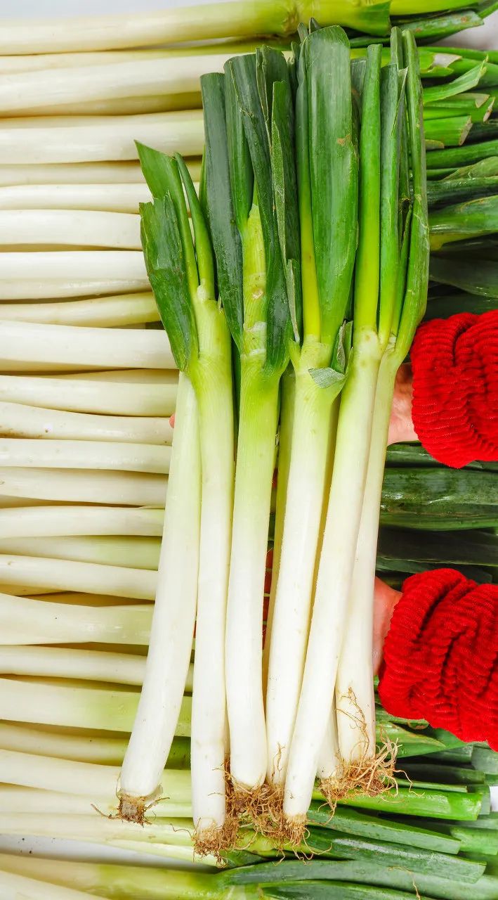 为什么叫山东大葱,为什么大葱用葱白不用葱绿