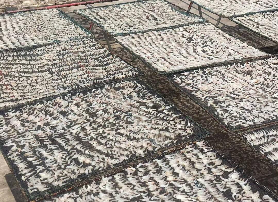 珠海旅游十大景点攻略,珠海旅游攻略一日游景点推荐