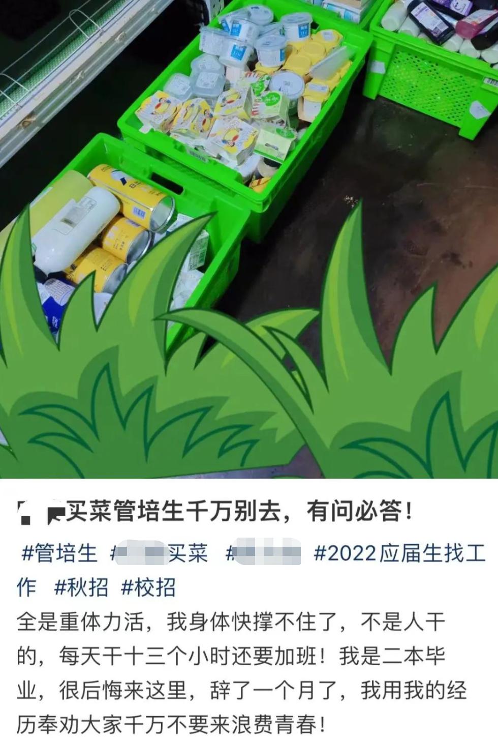 渚垮疁鐨勫ぇ瀛︾敓,寤変环鐨勫ぇ瀛︾敓浠ュ悗鐨勫嚭璺湪鍝噷