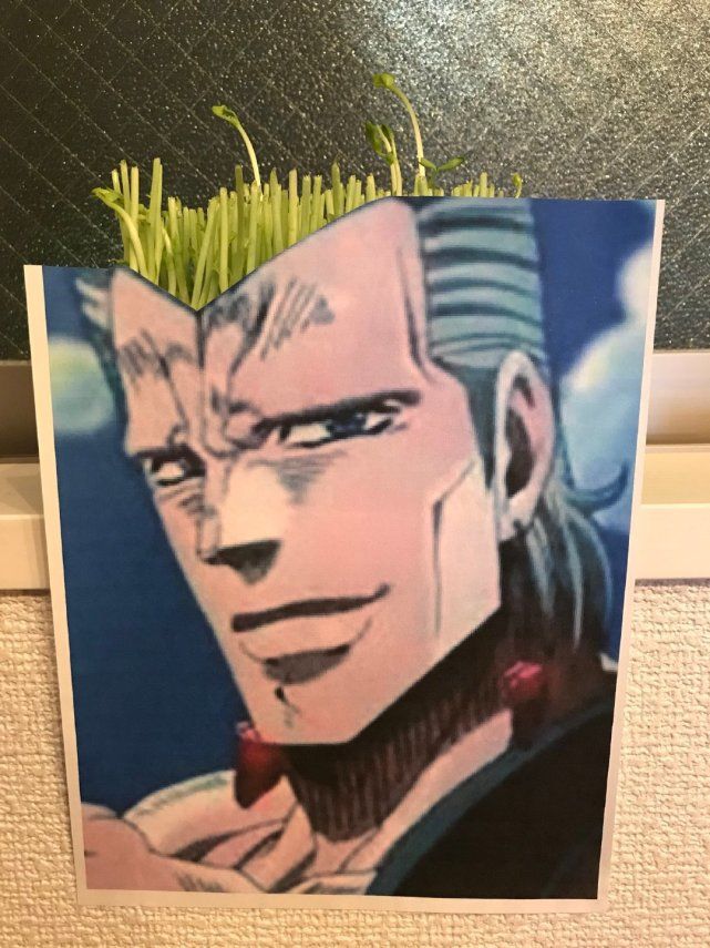 jojo真人发型,jojo波波同款发型