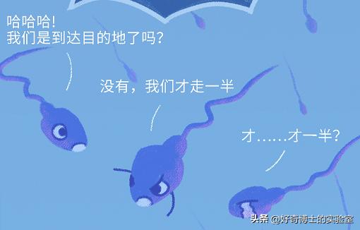 精子进入人体1小时变化,精子进入人体24小时变化