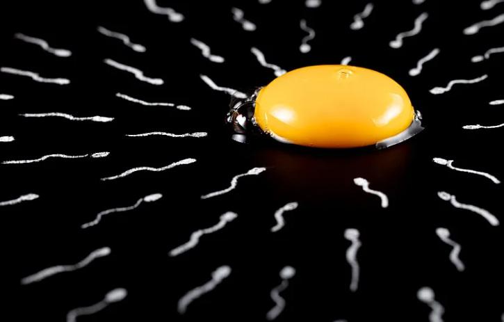 你知道：男性丁丁的发育变化是怎样的吗？如有3大异常及时就医