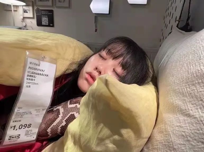 女大学生伪装名媛,女大学生假扮名媛21天完整版