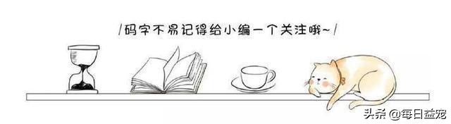 纯种拉布拉多犬特征,纯种拉布拉多和不纯种的区别在哪