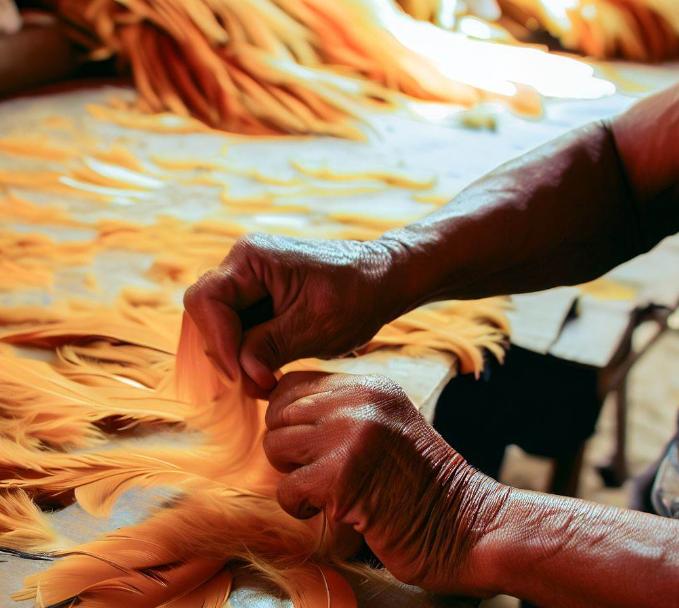 美轮美奂的羽毛艺术，帕拉卡斯的羽毛制品，鸟羽编织的华美世界