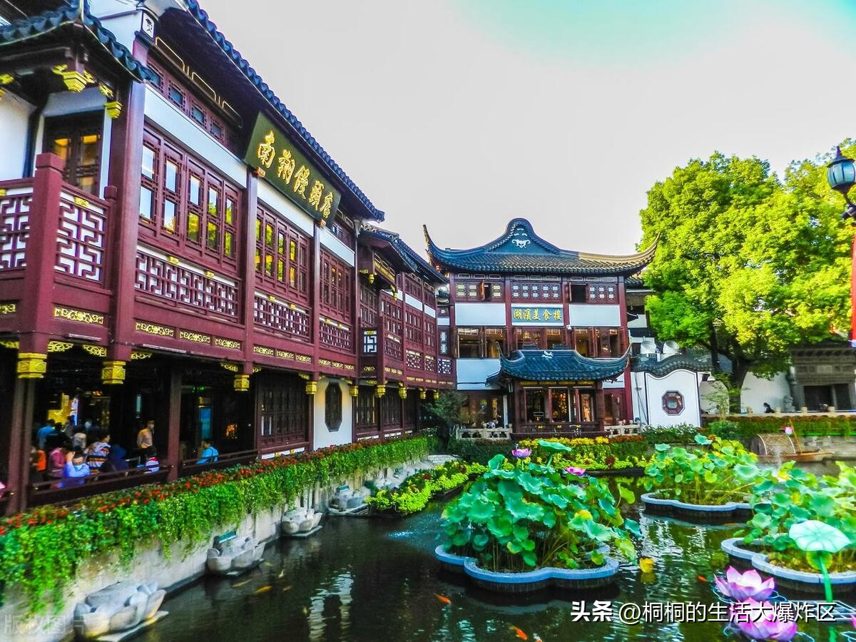 第一次上海一天游最值得去的地方,上海高品质游玩攻略