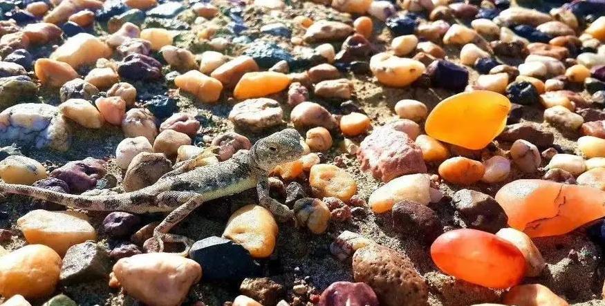 捡石头也能赚钱？*疆新**这9个地方让你秒变收藏家！