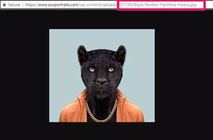 长沙googleseo优化教学,苏州googleseo优化推广平台