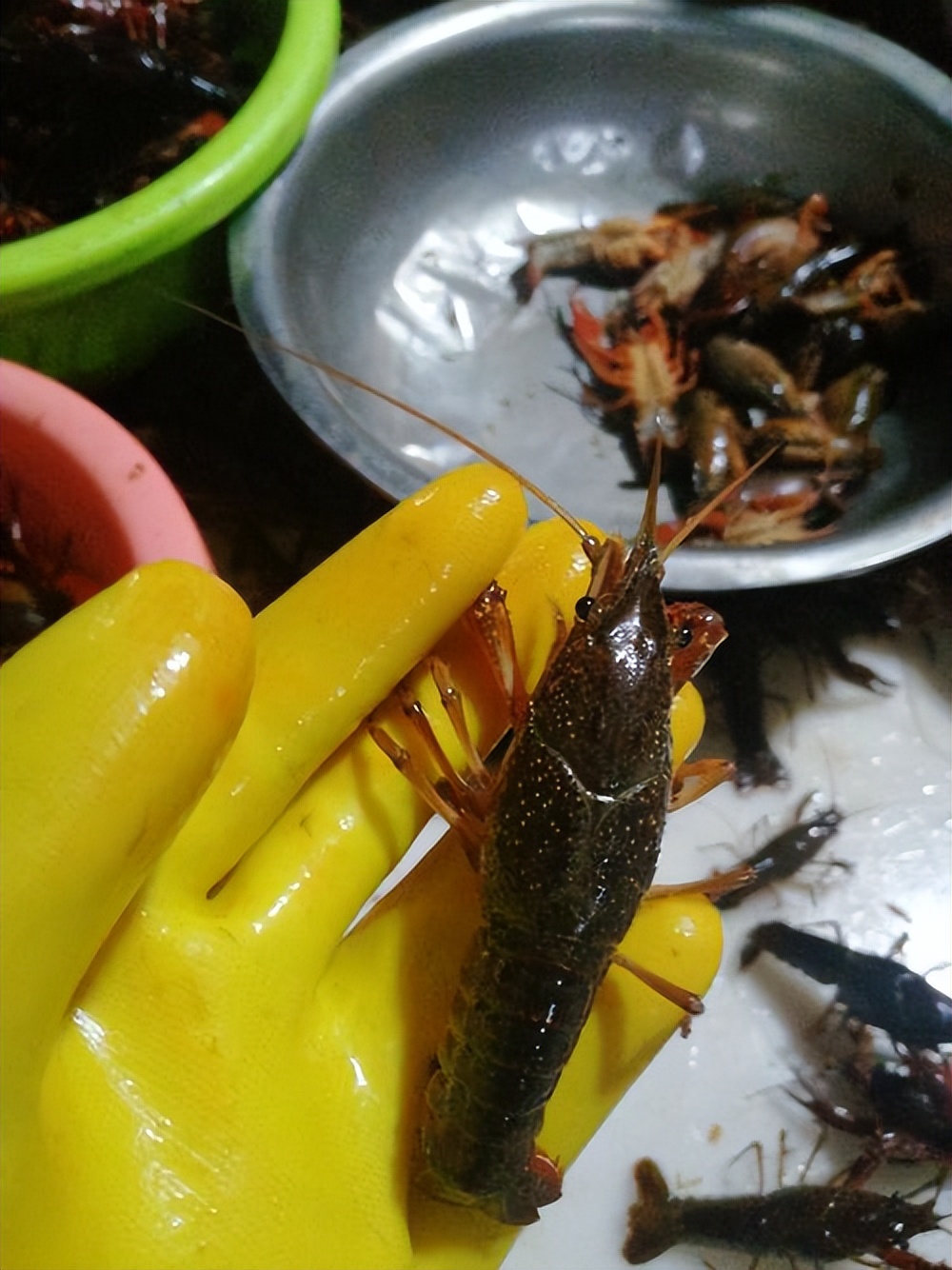 夏天小龙虾到底能不能吃,小龙虾烧烤的危害