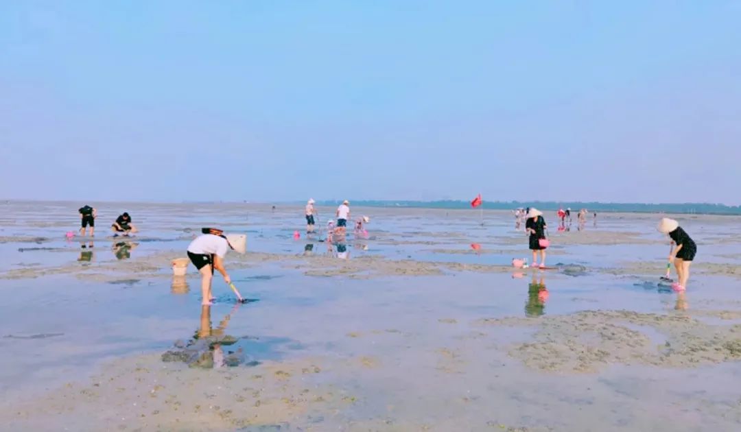 海岛控私藏的33个绝色海岛,盘点四个宝藏小众海岛