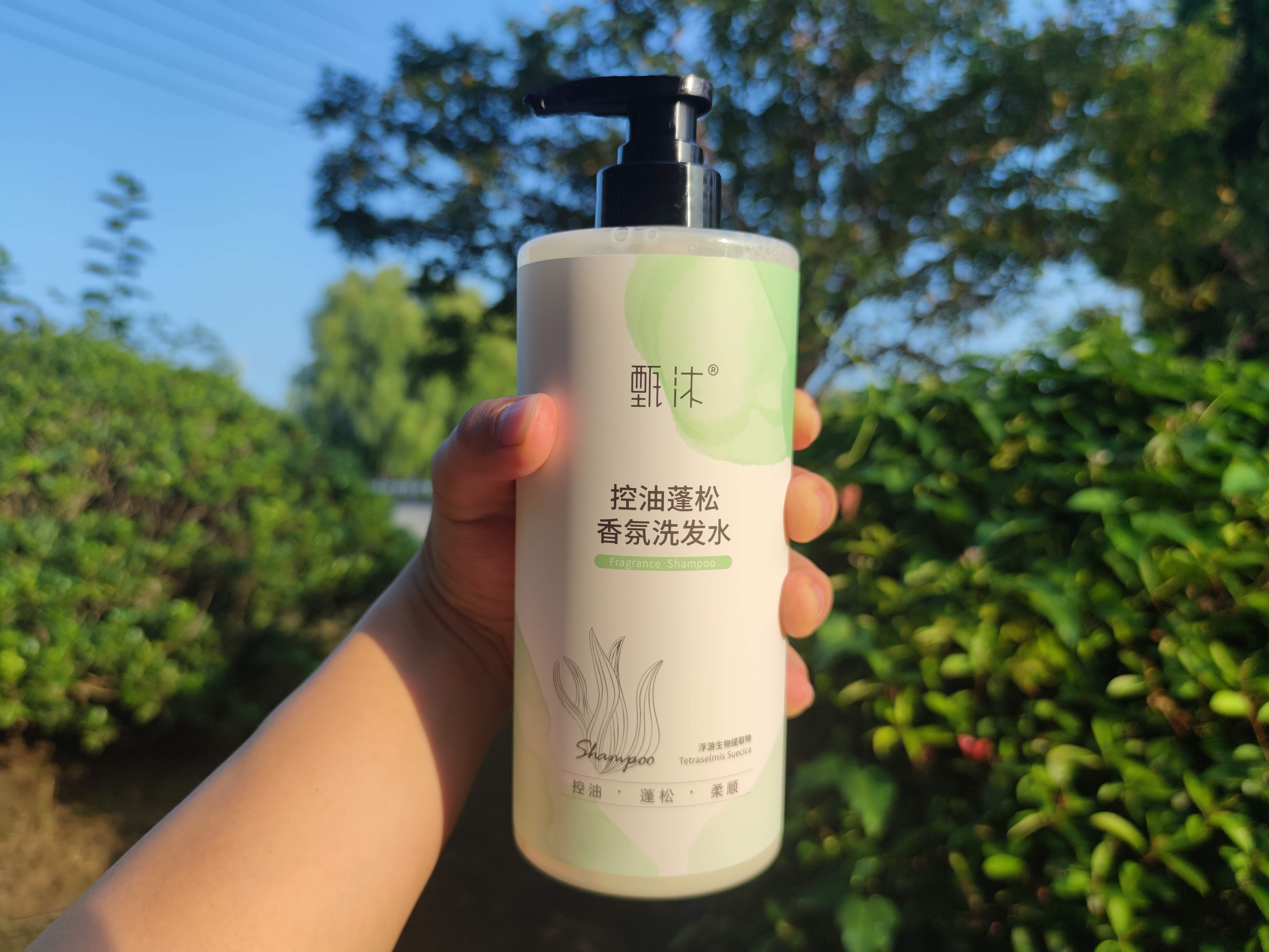 甄沐洗发水好不好,甄沐洗发水新品