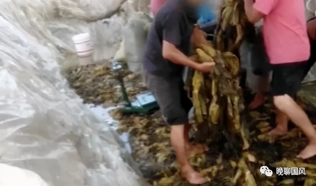 鎻掓棗鍦熷潙,涓浗鐢疯冻鐣忔墜鐣忚剼