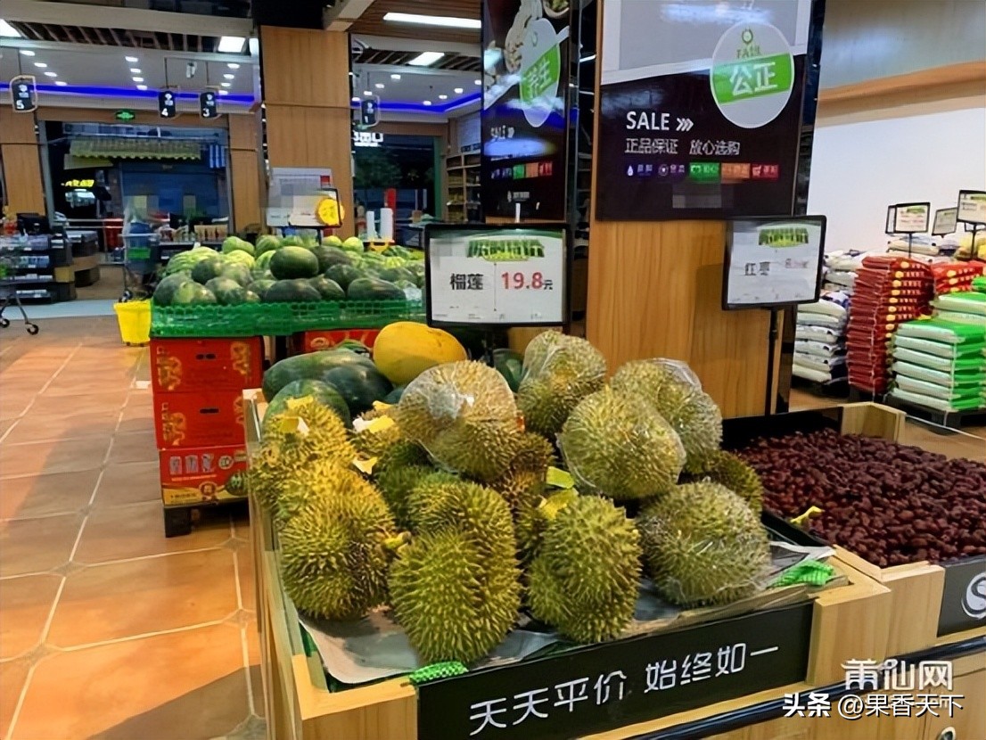 榴莲价格暴跌是真的吗,榴莲降价是因为啥
