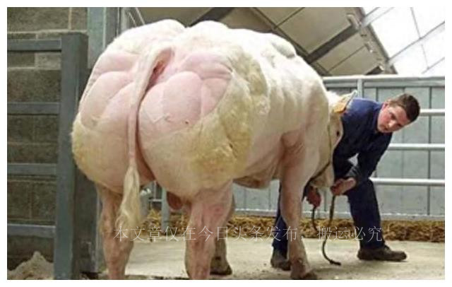 mrna疫苗的研发历程,mrna疫苗的发展趋势