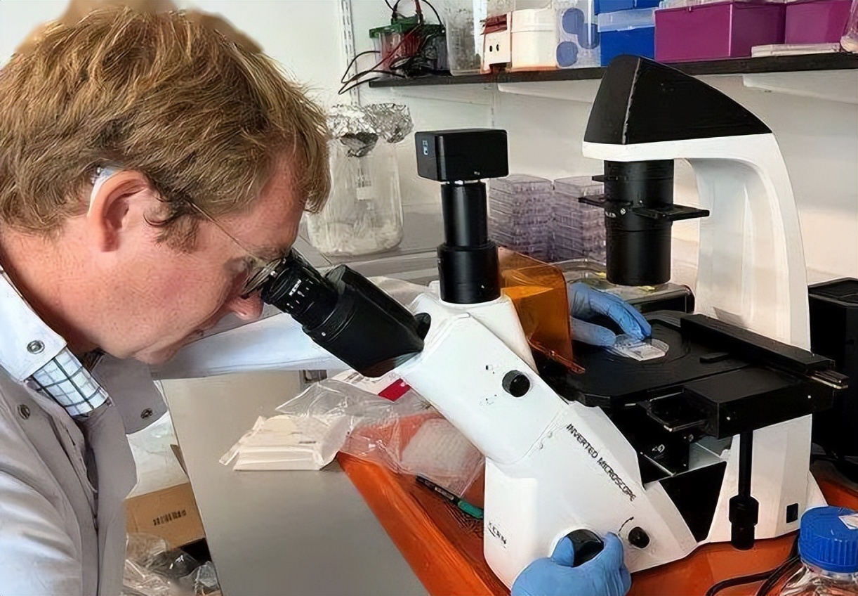 7天挣10万试药人,试药7天挣10万